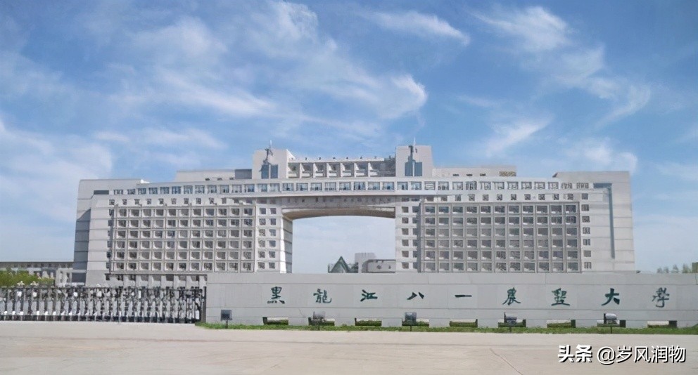 黑龙江大庆对标世界哪个城市,黑龙江大庆新发展