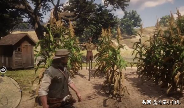 荒野大镖客捡的帽子怎么保存,荒野大镖客打掉三个人的帽子