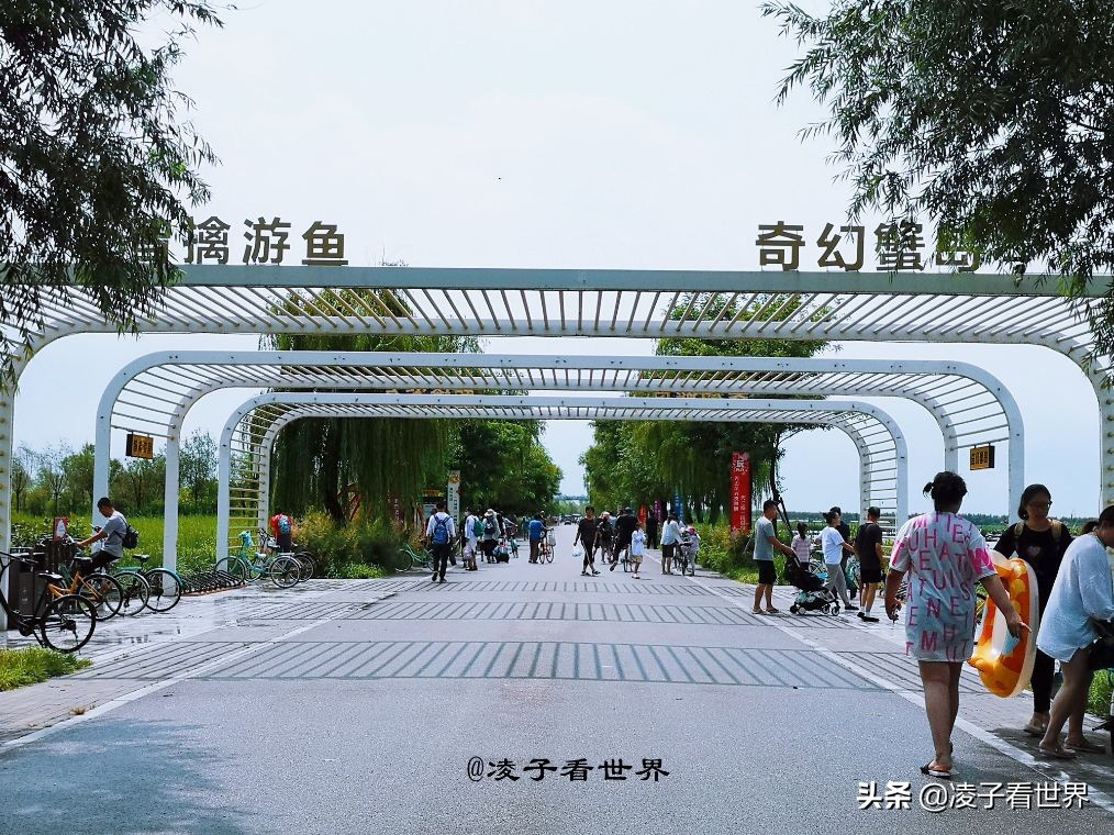 国内渔文化乐园,世界十大渔文化乐园