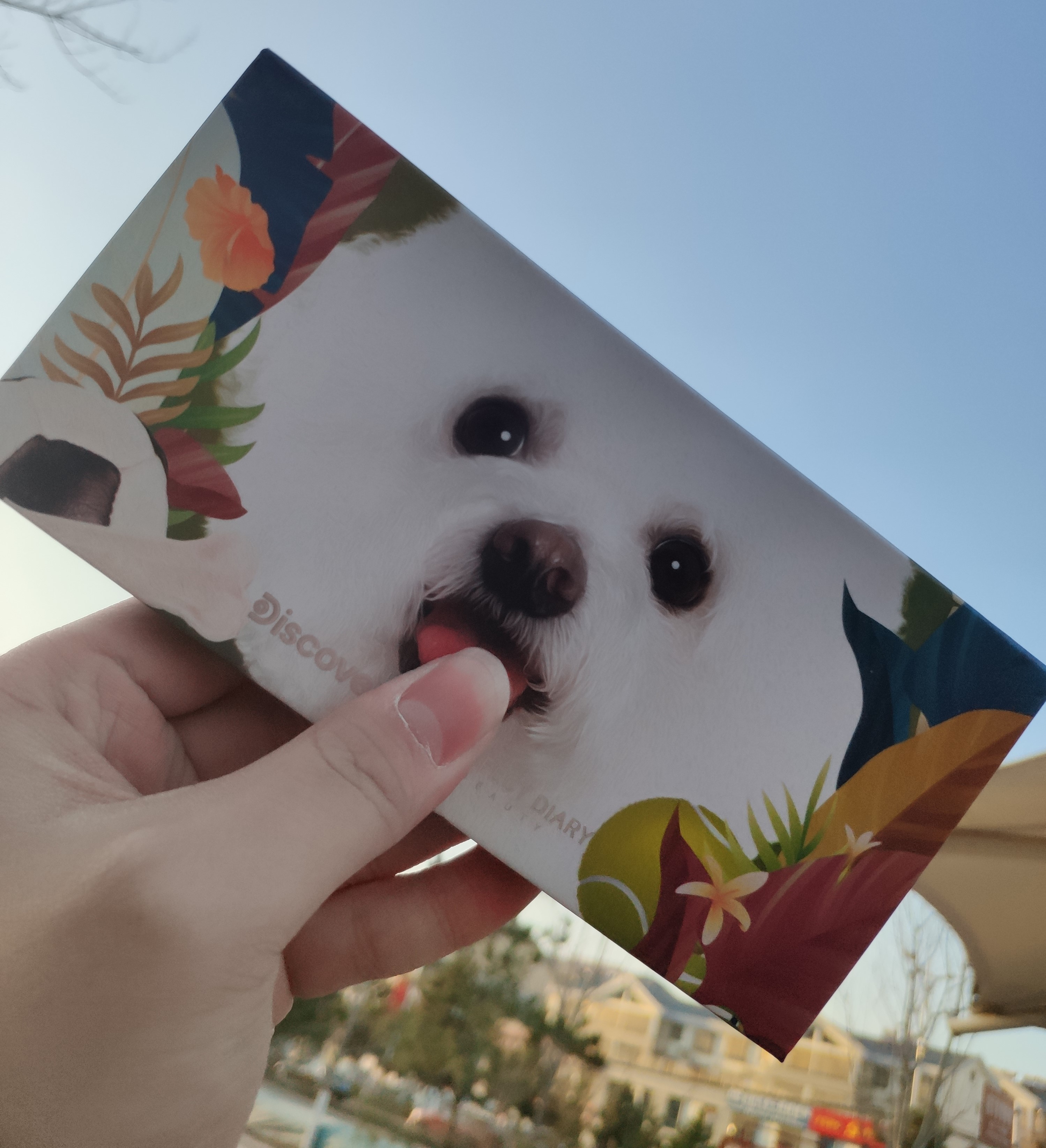 卡姿兰唇釉和完美日记唇釉哪个好,卡姿兰和完美日记哪个好一点