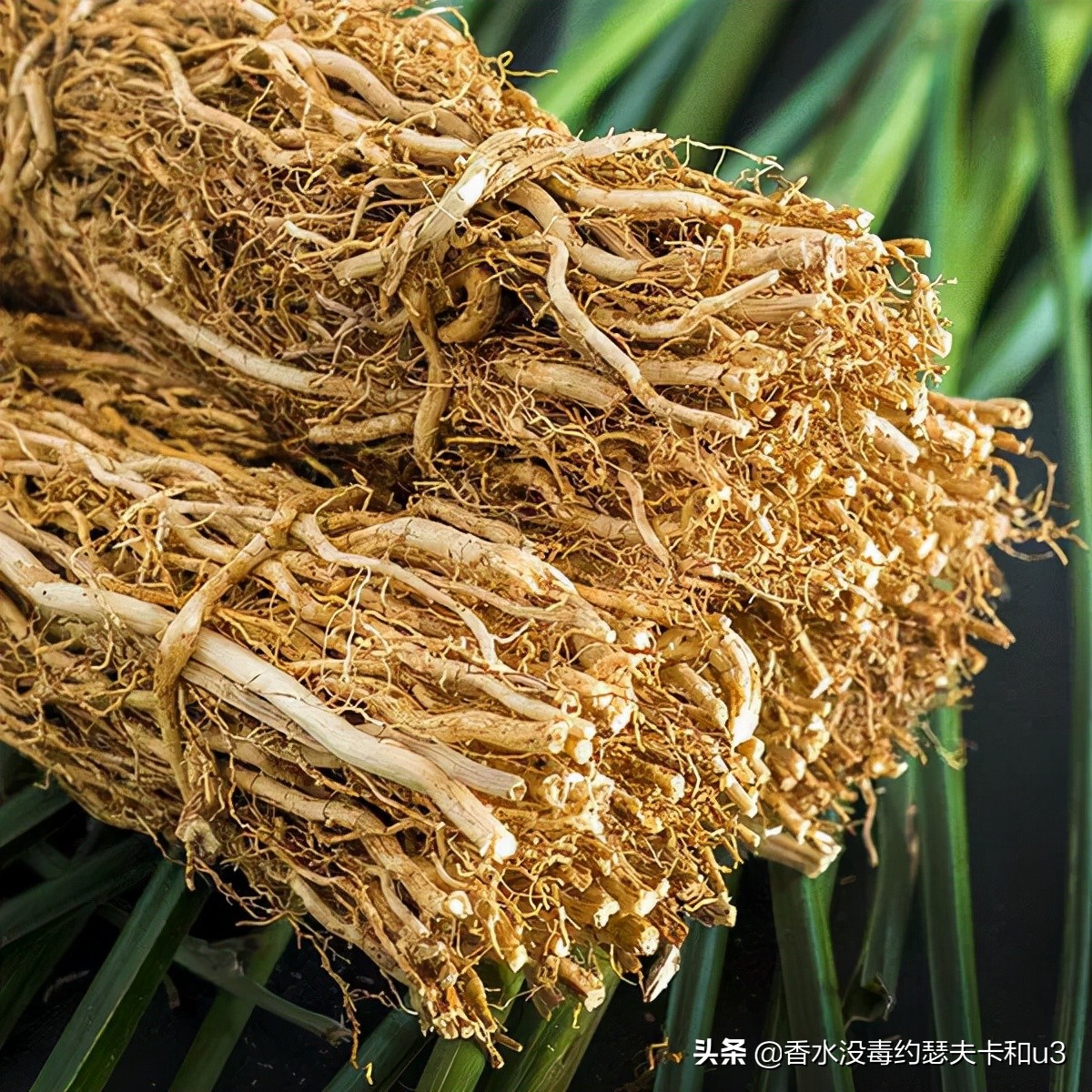 香水的味道哪种比较好闻不刺鼻,怎么区分浓香水和淡香水