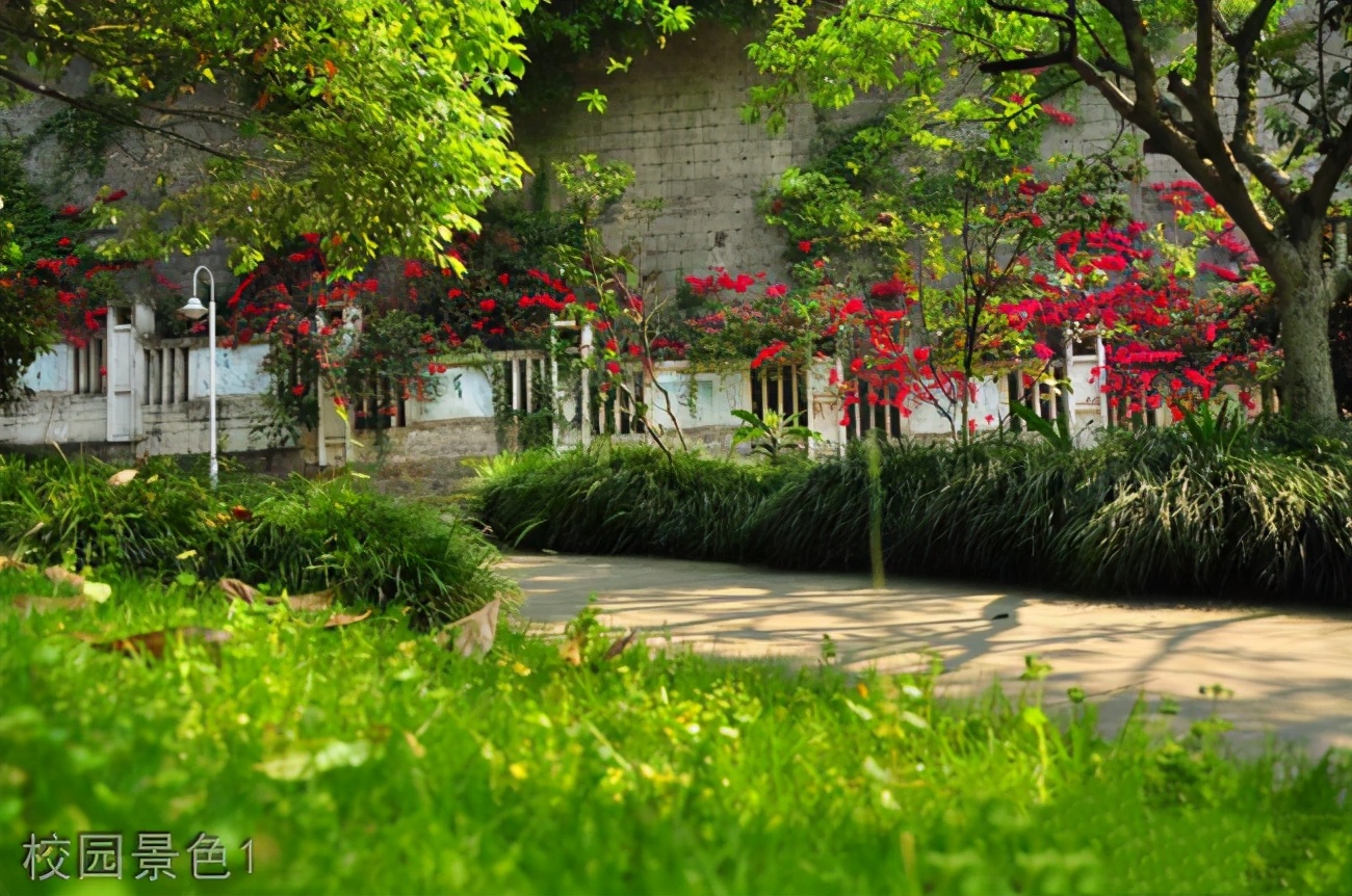 重庆哪所学校环境最好,重庆最美学校