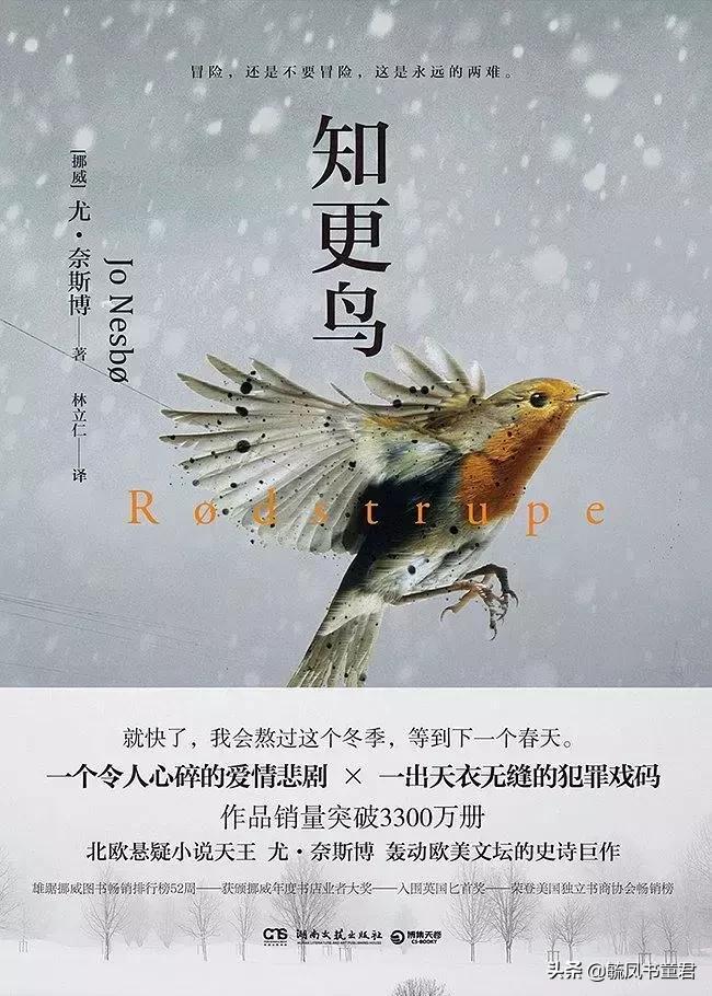 我们一无所有全文阅读,我们一无所有书解说