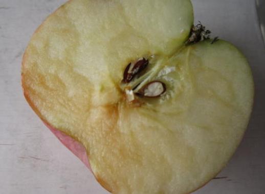 削皮的水果怎么预防氧化,水果去皮后变黄怎么办