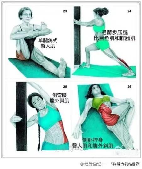 打完球拉伸的原理,打完球为什么要拉伸