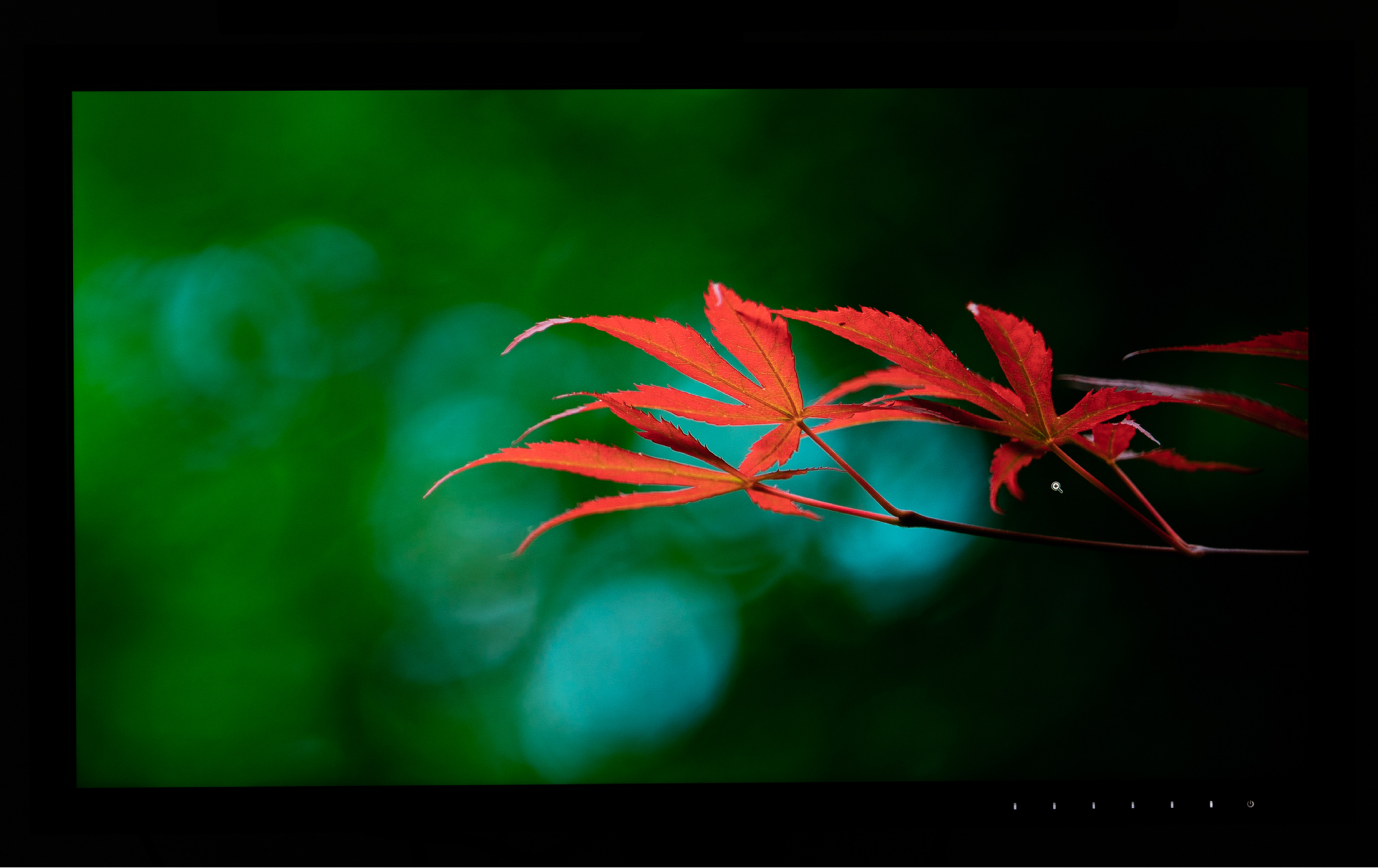 eizo最新显示器,eizo顶级显示器