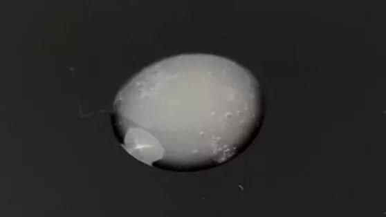 评测淡斑精华377,评测美白精华377