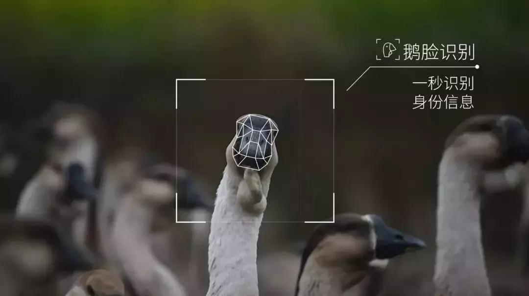 四月份热点营销大全,2020全年热点营销日历