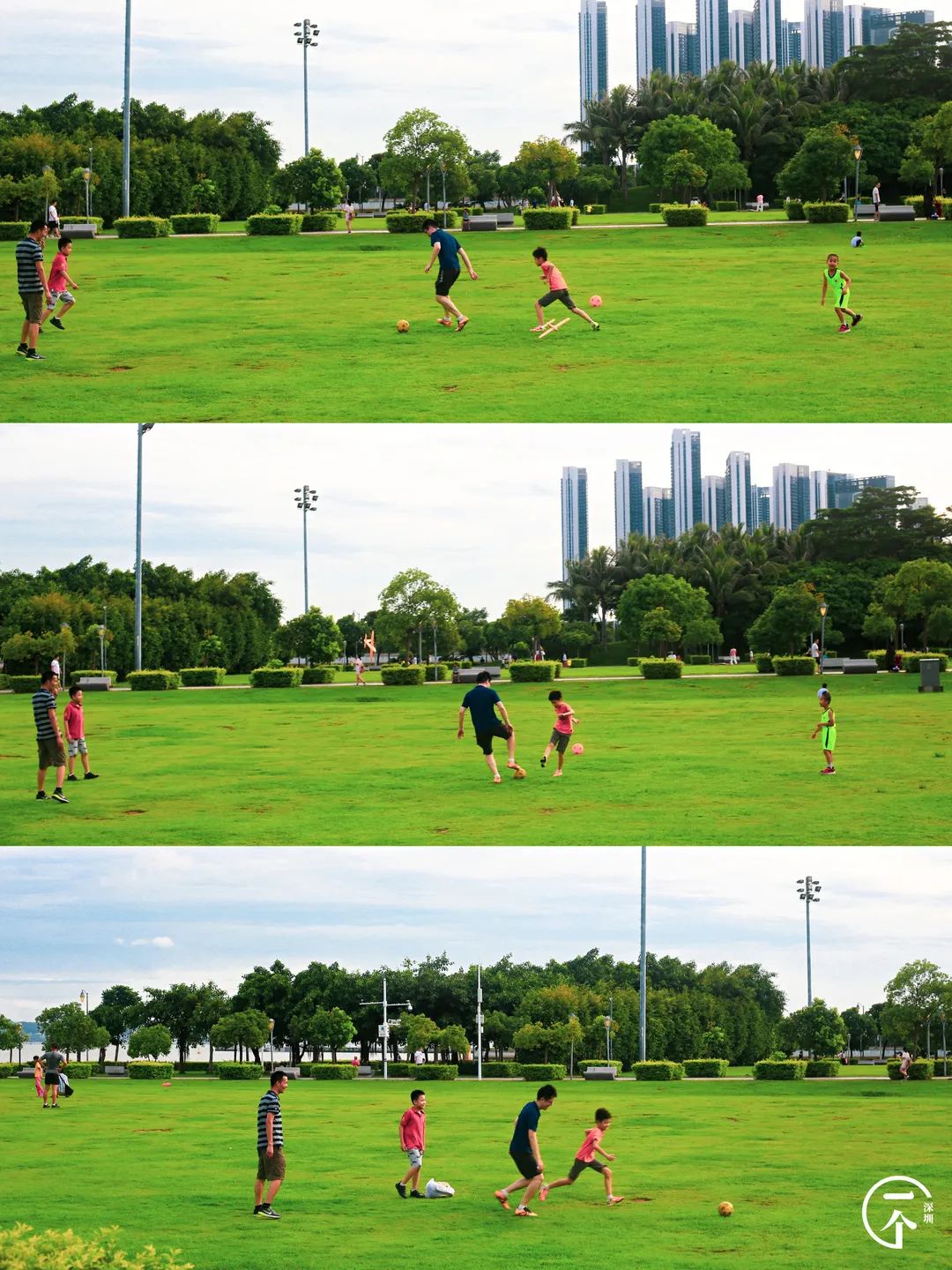 测评深圳湾,我直接被房租劝退