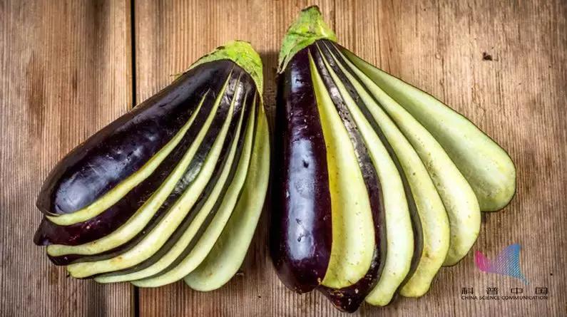 茄子有毒吗吃了有什么好处,茄子忌氯吗