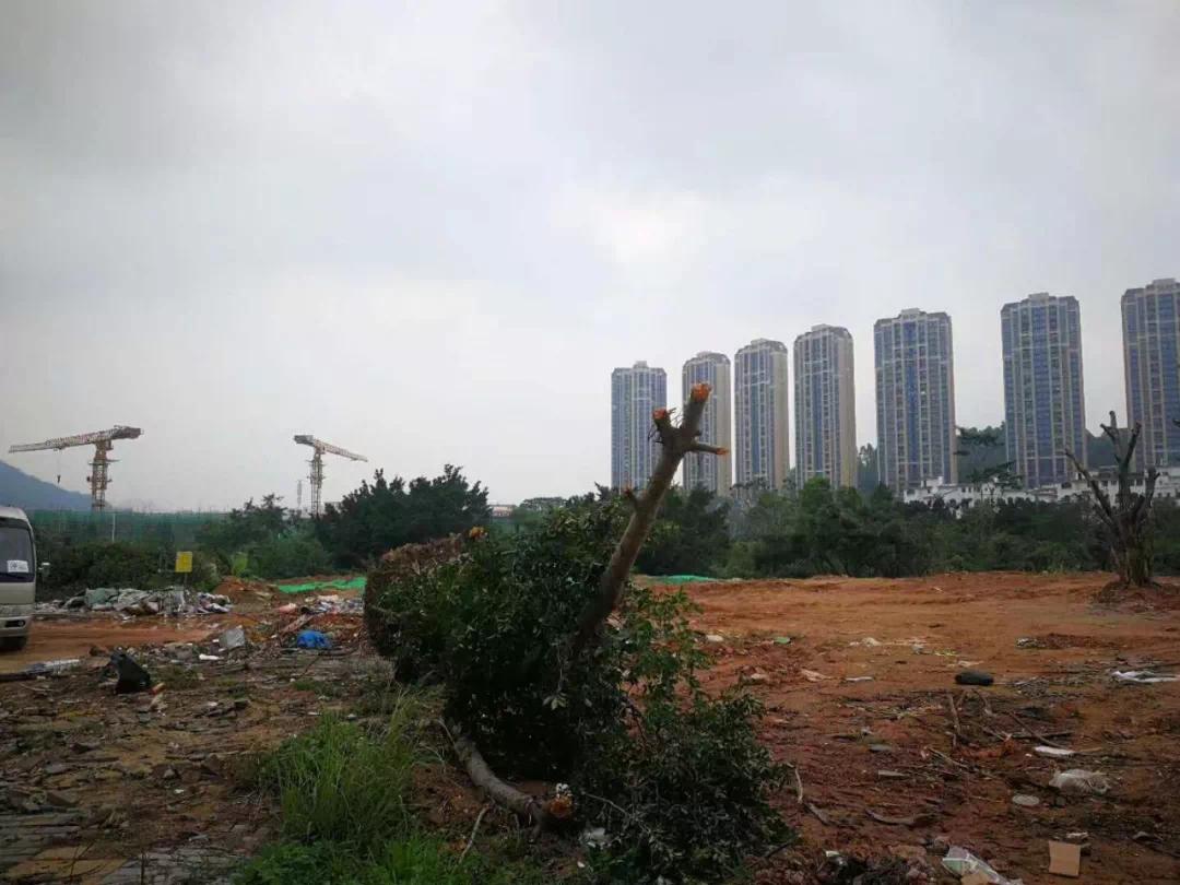 深圳1亿多的房子流拍,深圳最新拍出8宗宅地