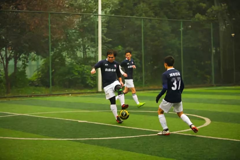 云南白药篮球赛上海,云南白药运动会