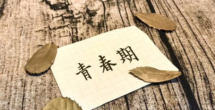 青春期叛逆期男孩子家长如何沟通,青春期叛逆的孩子怎么去相处