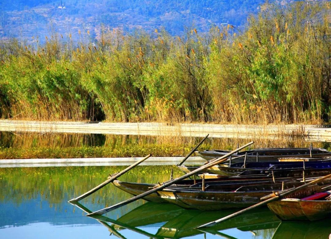 去云南哪里泡温泉最好,云南必去十大景区推荐