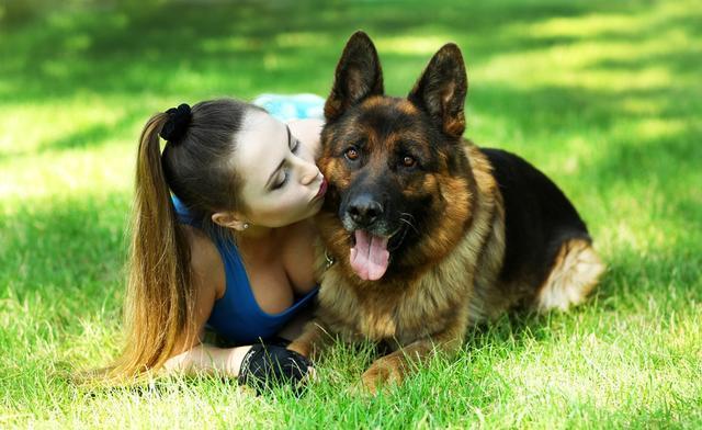 德国牧羊犬很“危险”，我劝你不要养，都是过来人“血的教训”