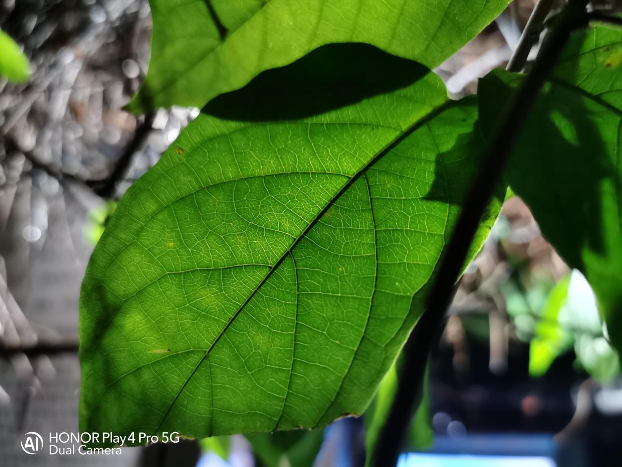 荣耀play4pro普通版跟红外版,荣耀play4pro和荣耀play4tpro