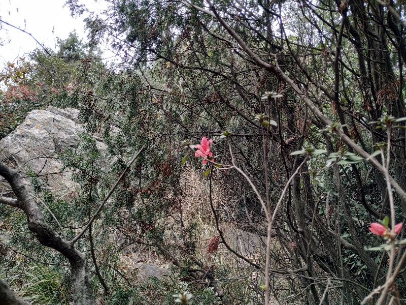 杭州市周末自驾游去哪里好玩,杭州出发周末旅游攻略