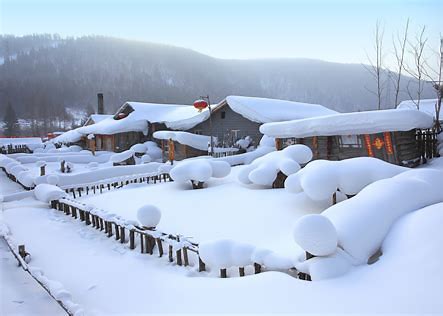 辟谣芹菜汁降血压,高血压吃降压药是不是骗局