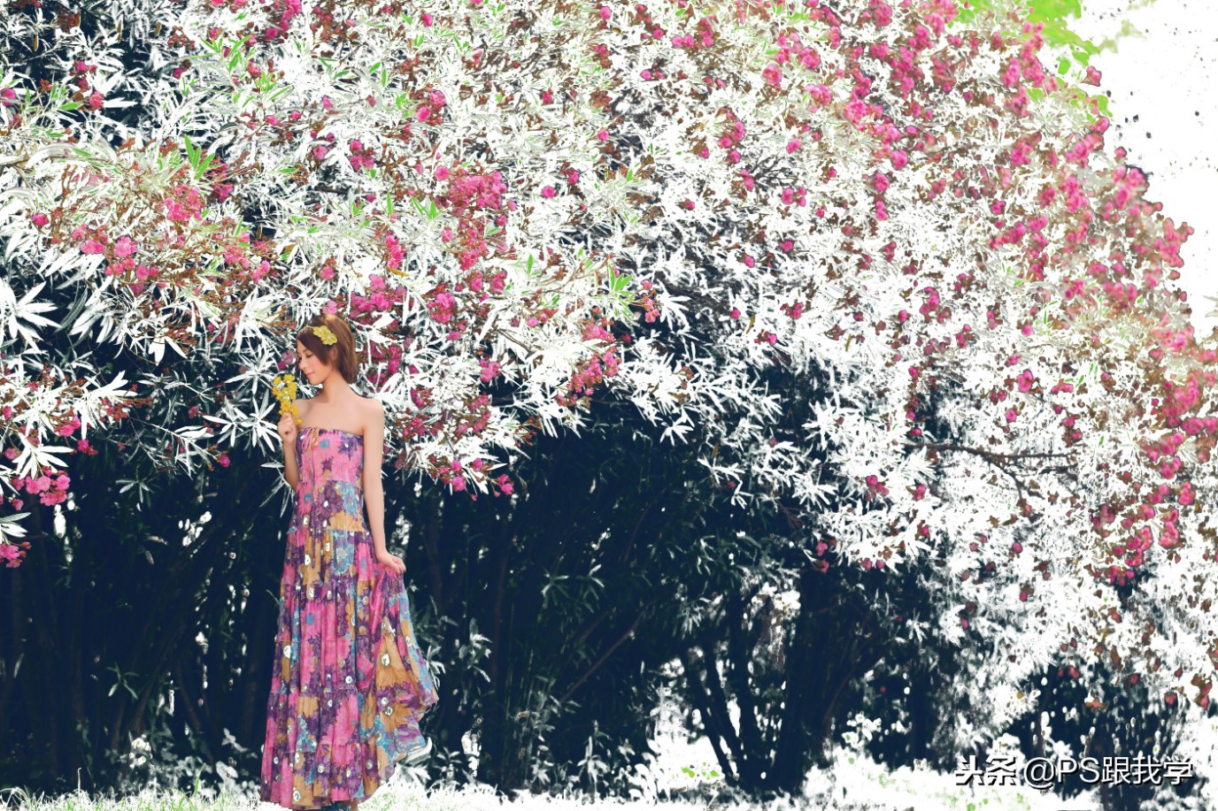 photoshop中进入快速蒙版,ps终极技巧如何使用快速蒙版工具