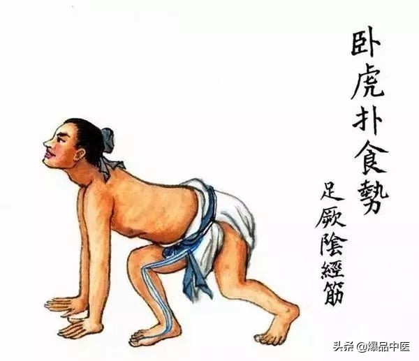 十二经筋连接动态图,十二经筋的图解