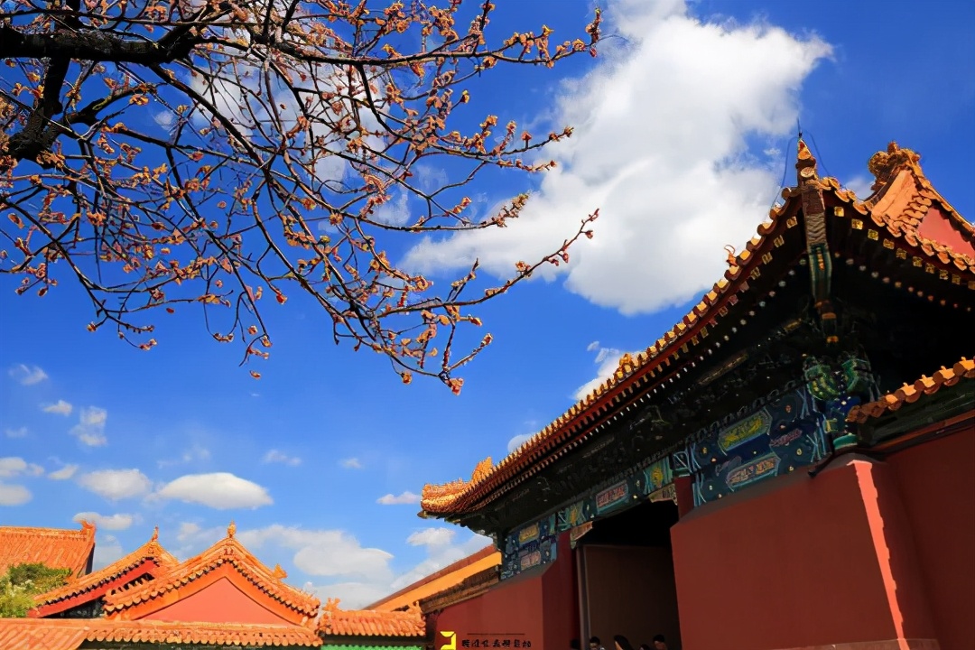 崇庆皇太后寿康宫,寿康宫崇庆太后与十三贝勒