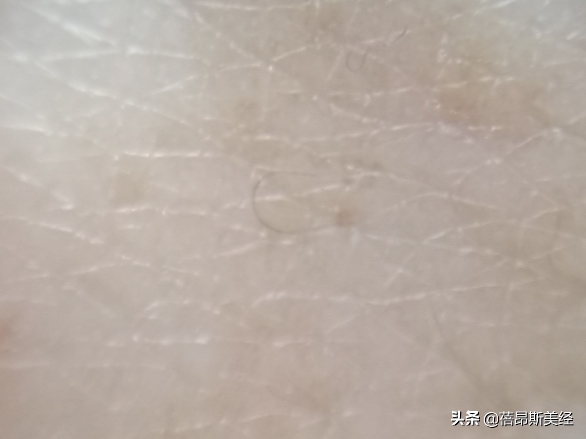 女生平价又好用的神仙水,神仙水有哪些适合敏感肌肤