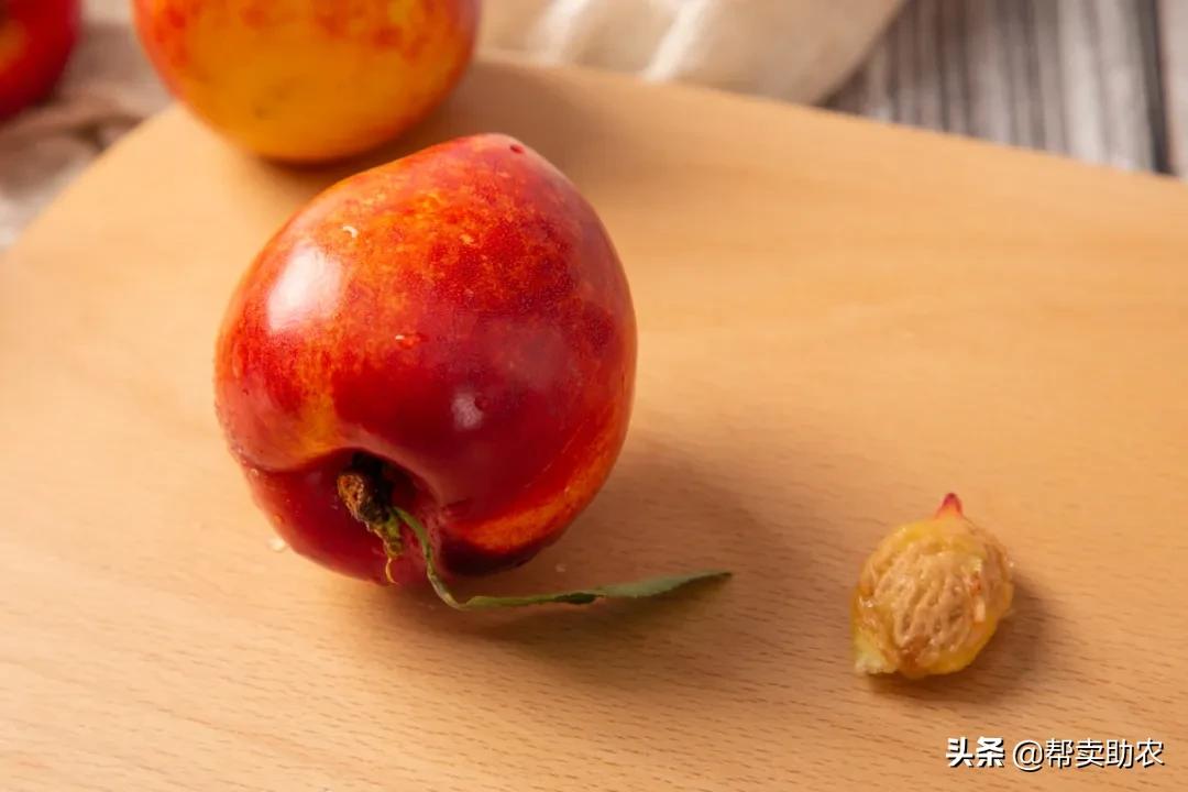 又脆又甜的油桃真好吃,油桃脆甜多汁爽口