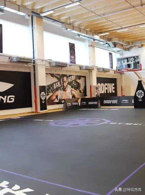 体操王子李宁走进天津西青——西青区全民健身运动会倒计时100天暨天津西青李宁运动中心开园活动举行