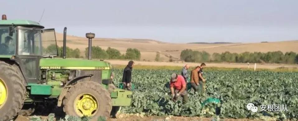 茶人学习:欧洲国家农民合作社融资实践