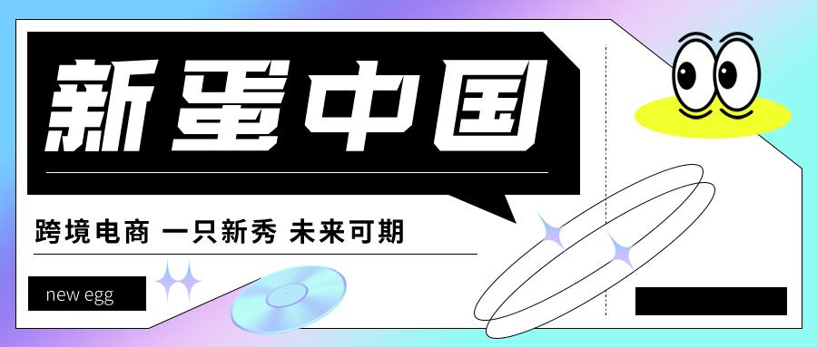 新蛋跨境电商教程,新蛋跨境电商的现状及前景