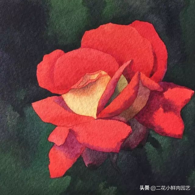 100种花卉绘画,100多张花卉线描手稿素材赶快收藏