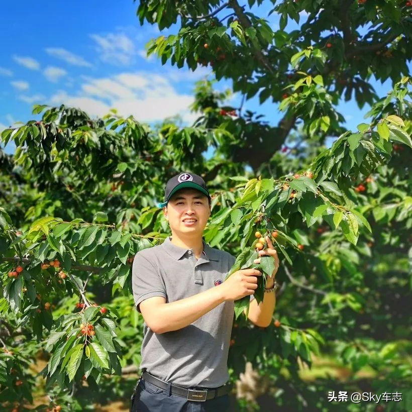 7万公里老款宝马x5,宝马x5的优缺点