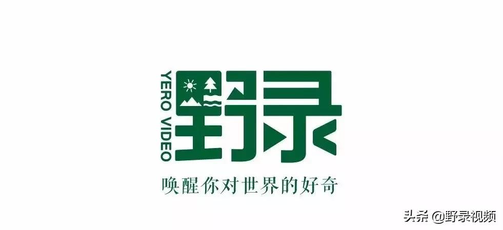 澳洲的蛤蟆有哪些,澳洲蛤蟆泛滥成灾