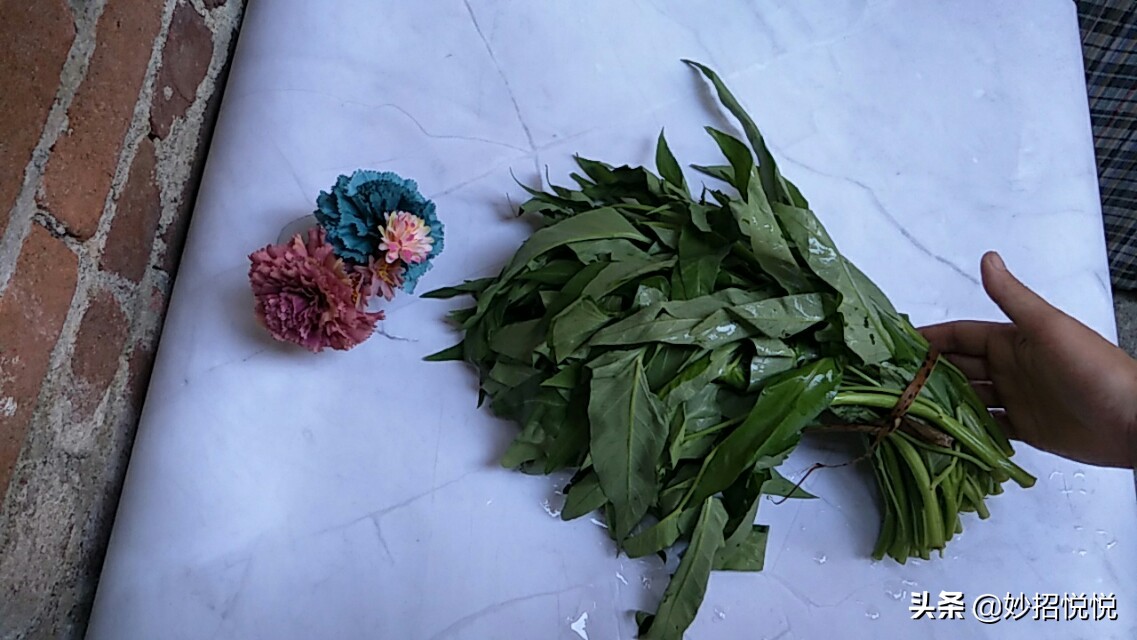 蔬菜蔫了怎么能变新鲜,蔬菜蔫了怎么办