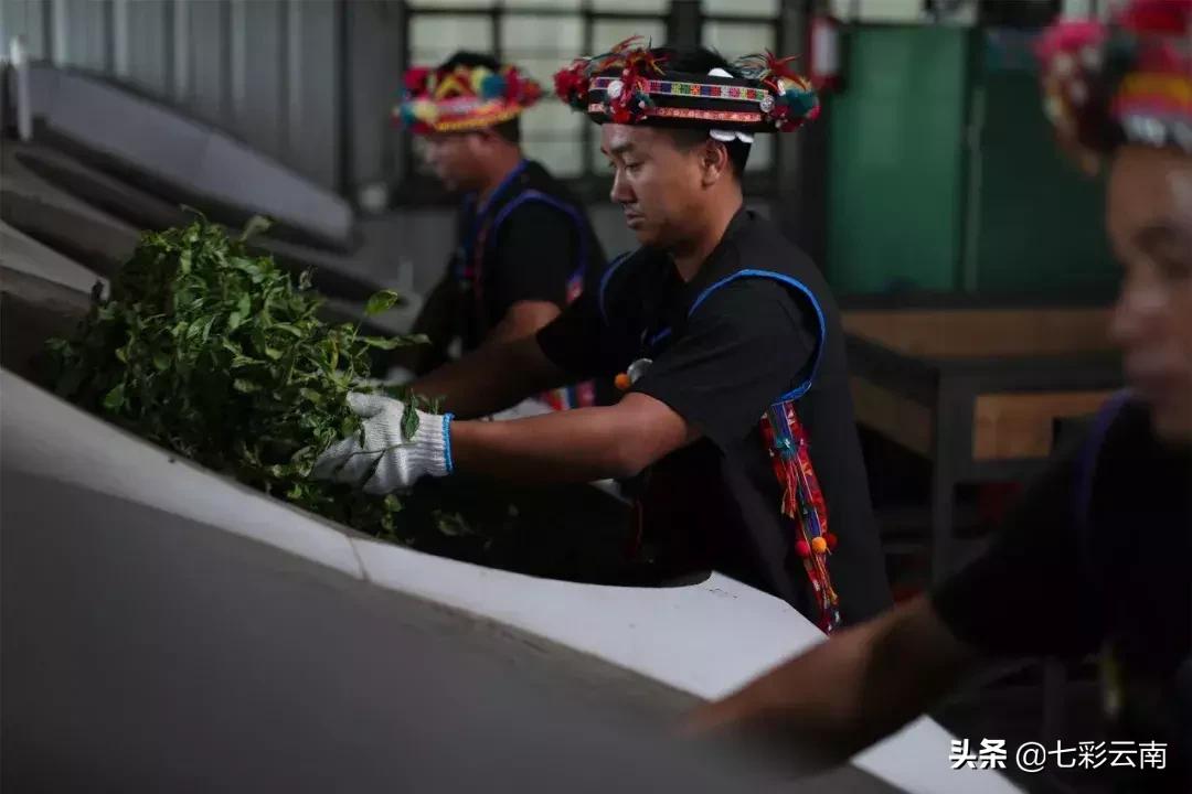 七彩云南庆沣祥什么档次,云南庆沣祥茶业股份有限公司