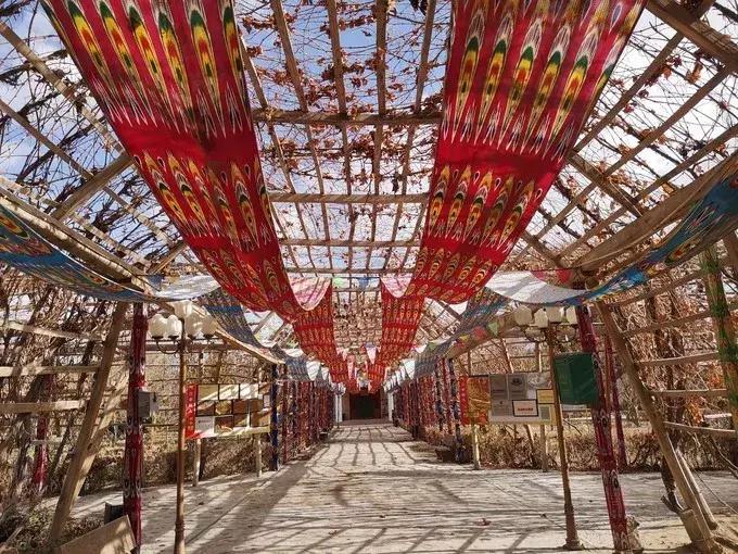 新疆印象和田,南湖北路和田印象