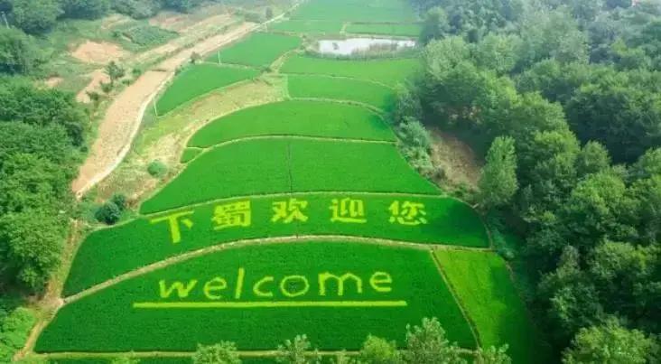 句容菜排行榜前十名,句容最有名的10道菜