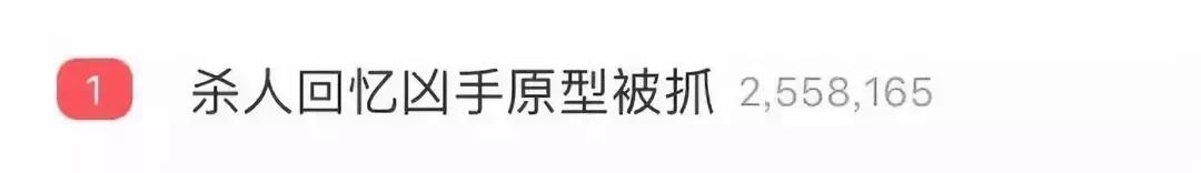 杀人回忆里凶手被抓,杀人回忆凶手抓到了么