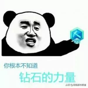 特大网络组织淫秽表演案告破,警方破获特大淫秽表演案