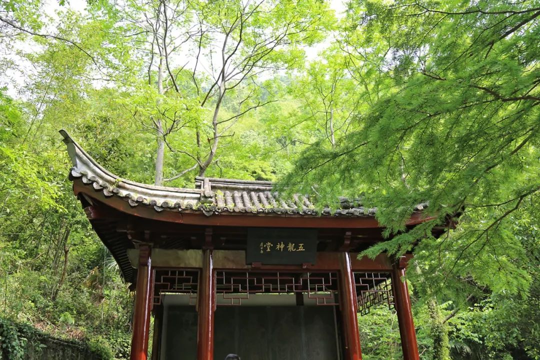 宁波避暑耍水胜地,宁波森林氧吧景区