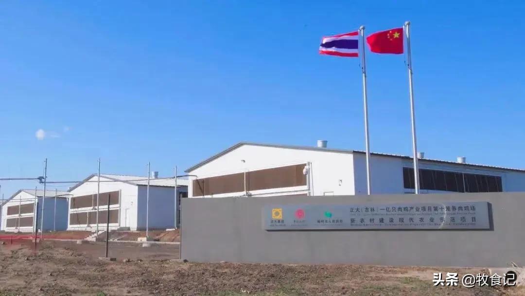 正大农牧食品及零售,正大农牧有限公司分布