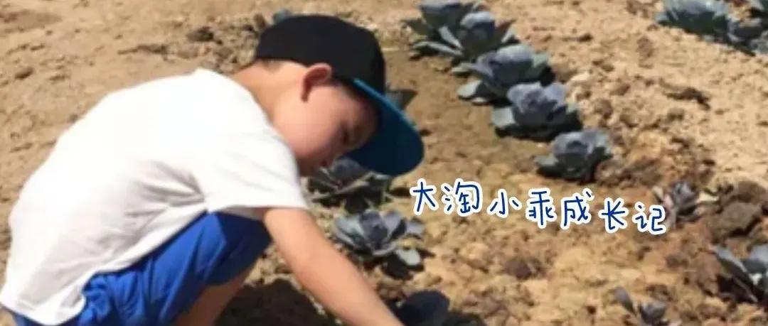 成人零基础看英文动画片怎么学,看英文动画片学习英语的方法