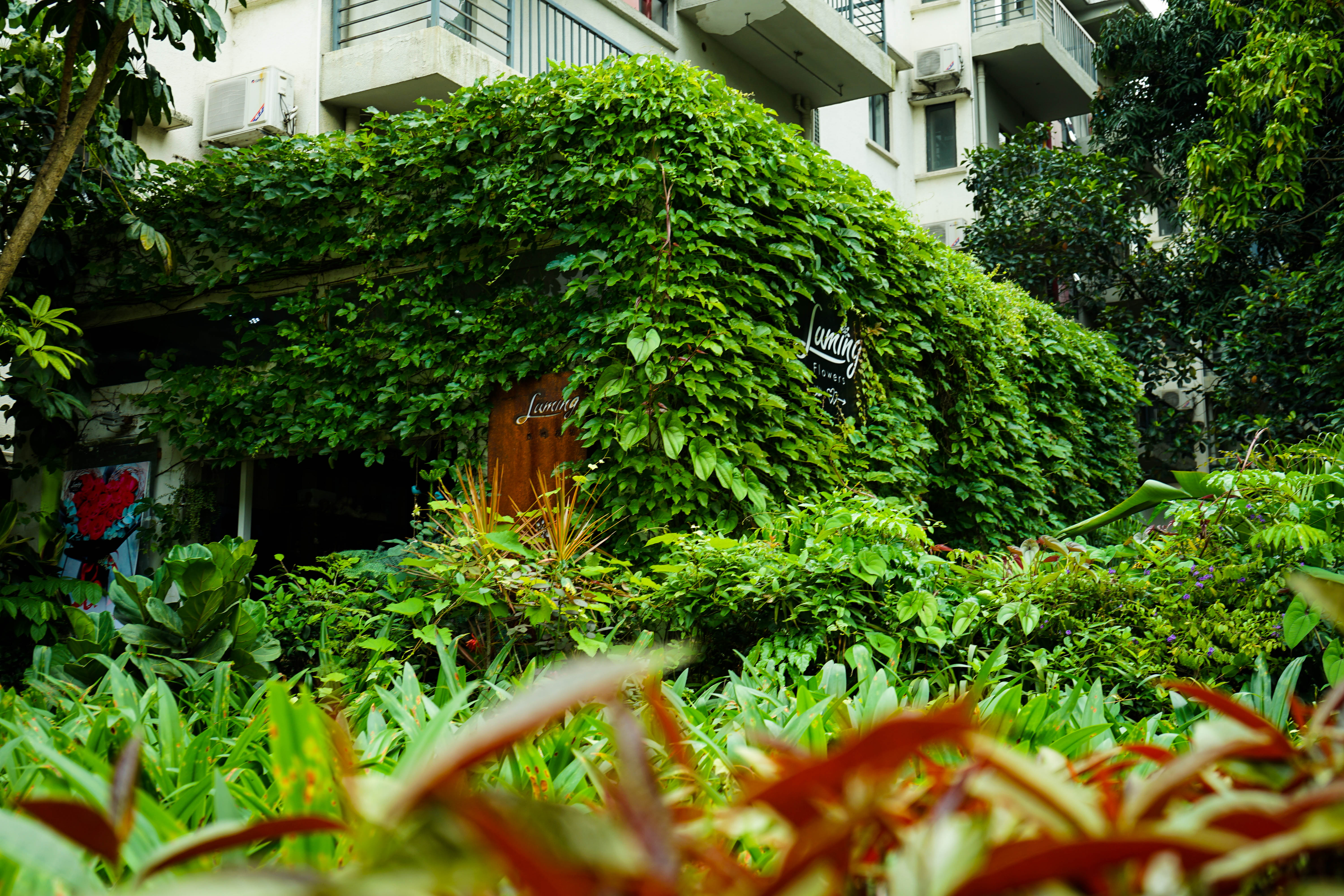 塞班蜜月旅游照,塞班岛蜜月自由行攻略