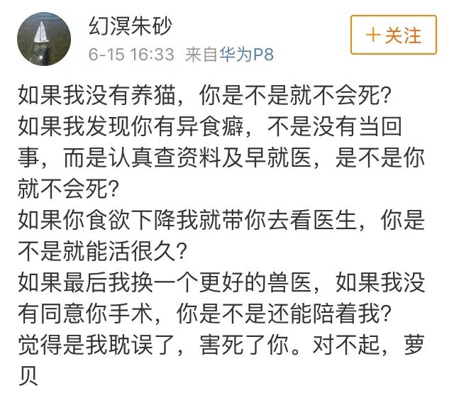 训练猫时可以给猫吃什么,训练猫捕食