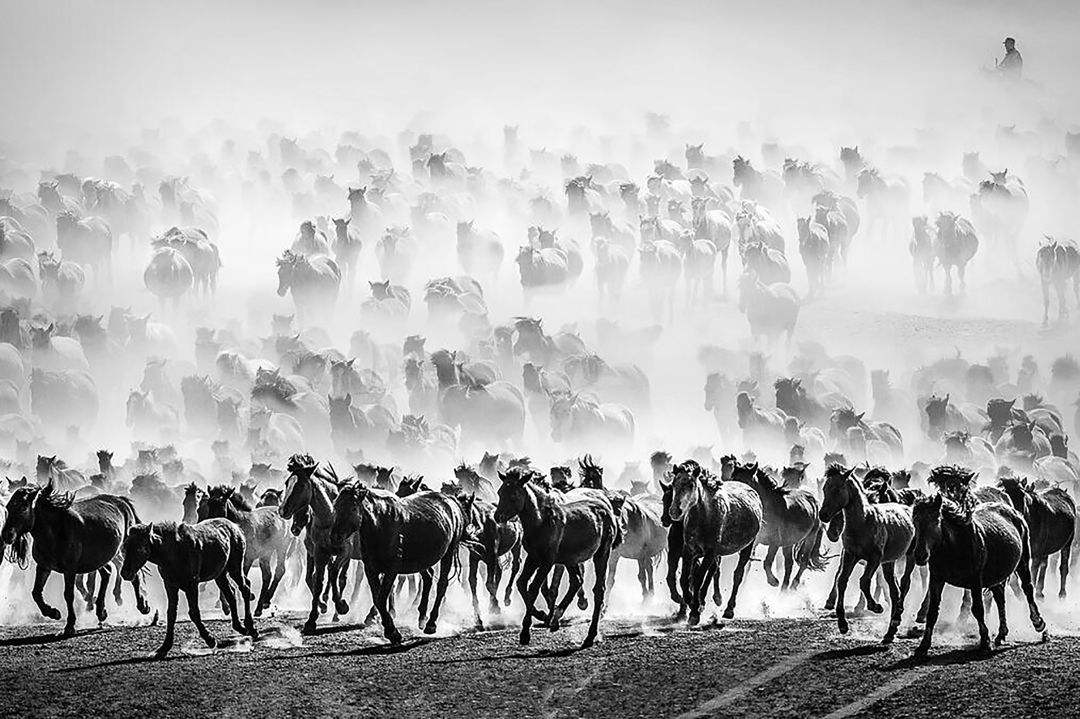 唐代马球兴起的主要表现,唐代马球的兴盛表现在什么地方