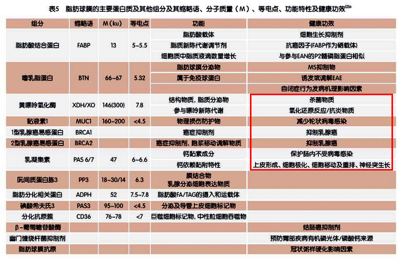含乳糖酶的乳粉,含乳铁蛋白乳脂球膜的奶粉