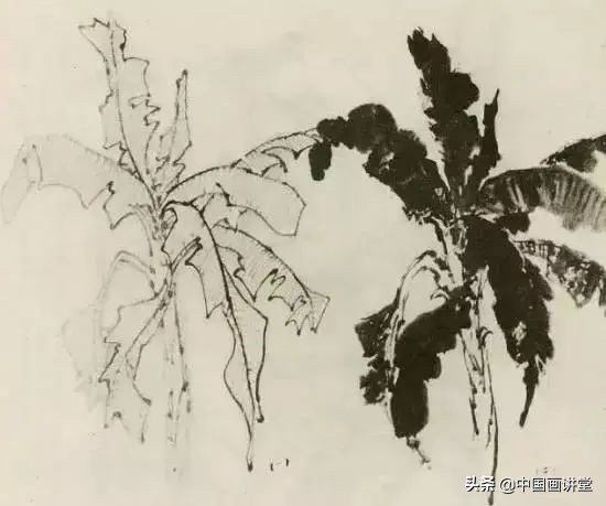 缠枝、挺杆、屈节、钮裂、一棵树如何画?看了这篇你绝对能学会