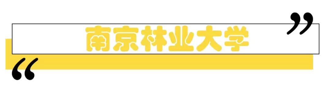 南京大学生爱吃的美食排行,南京大学的美食有哪些