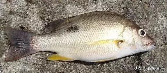 海鲜大荟萃,常见贝壳类海鲜