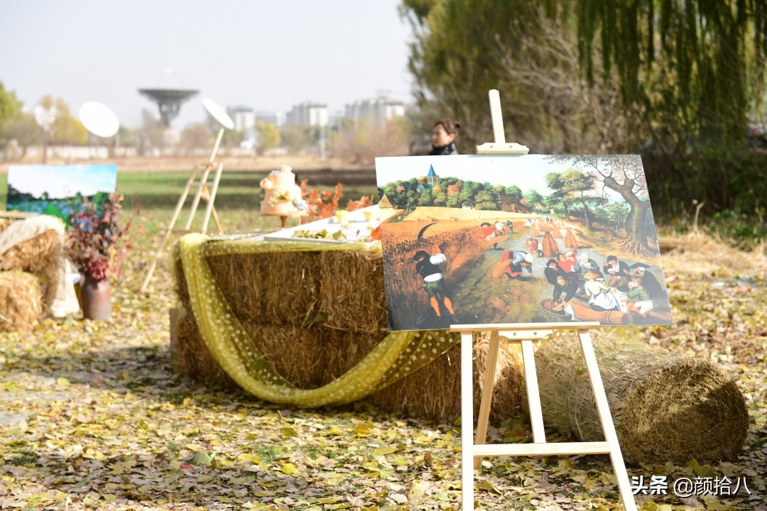 没有比利时花园游，来点比利时啤酒吧|随笔